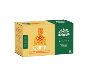Zolynelis Fruit Tea GRIPUS 2.5g x 20